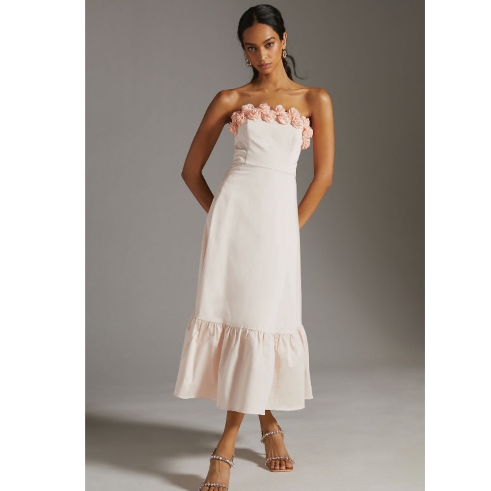 Hutch Floral Hem Blush Halter Maxi Dress Anthropologie Size 2 NWT